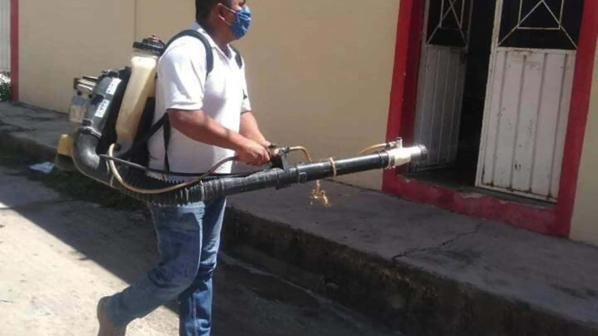 fumigación copia